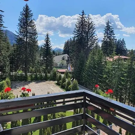 Miraj - Restaurant & Sauna & Biliard 4* Poiana Brasov