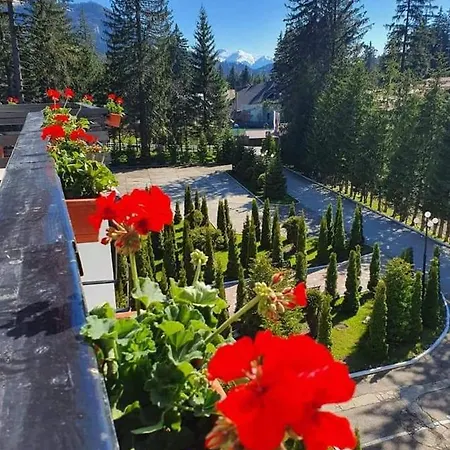 Miraj - Restaurant & Sauna & Biliard Hotel Poiana Brasov